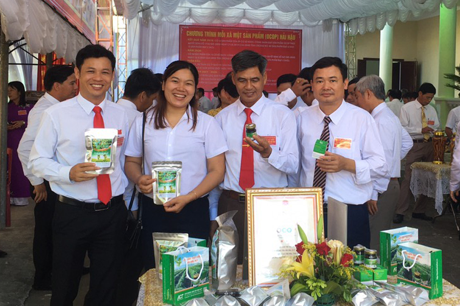 Mua dây thìa canh ở Nam Định