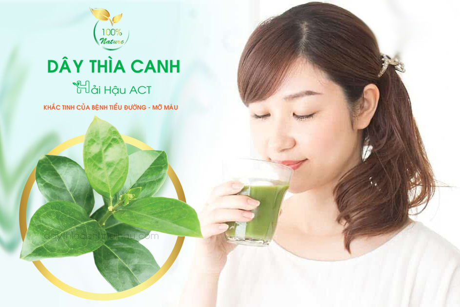 Người bình thường có uống được lá dây thìa canh không