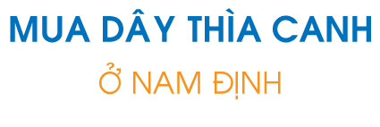 Mua dây thìa canh ở Nam Định