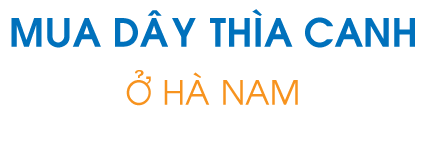 Mua dây thìa canh ở Hà Nam