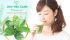 Người bình thường có uống được lá dây thìa canh không?